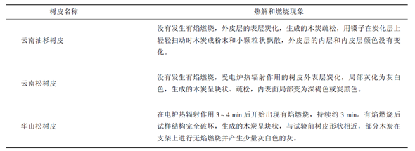 樹皮在熱輻射作用下的熱解和燃燒現(xiàn)象